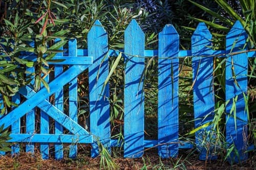 Colour Life Painting