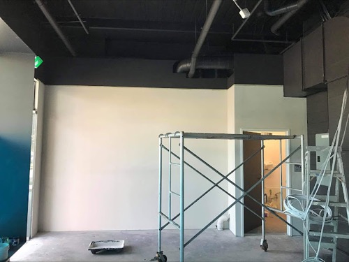 Apollo Painters & Plastering