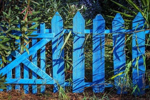 Colour Life Painting