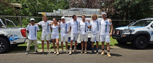 Mercer's Precision Painting